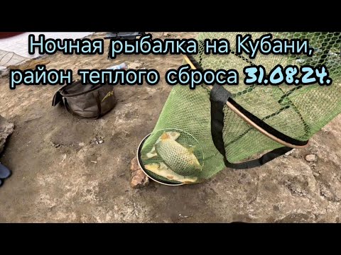 Видео: Ночная рыбалка на Кубани, тёплый сброс.31.08.24.