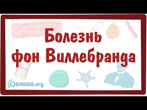 Видео: Болезнь фон Виллебранда — причины, симптомы, патогенез, диагностика, лечение