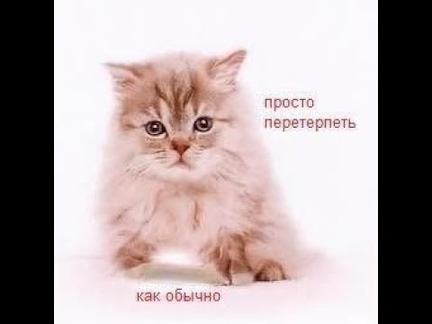 Видео: терпильничаем 50 минут без наслаждения