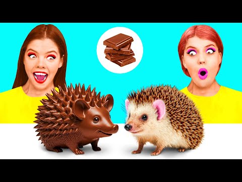 Видео: Челлендж. Шоколадная Еда vs Настоящая еда | Смешные Рецепты с Едой от DaZaZa Challenge