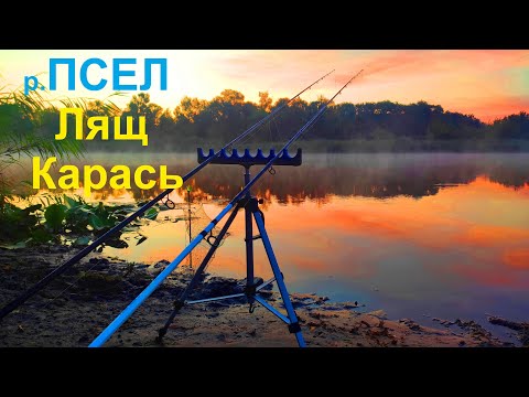 Видео: ВЕЛИЧЕЗНІ КАРАСІ і ЛЯЩІ на ГОРОХ. Рибалка на р. Псел. Риболовля на фідер. Фідерна рибалка.