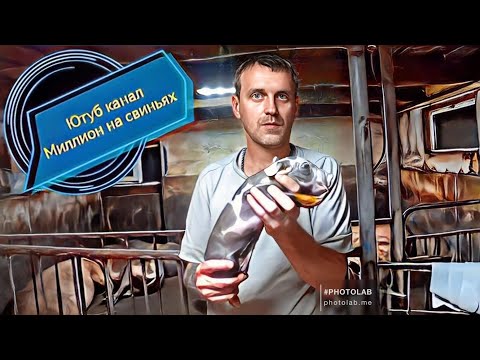 Видео: Страшное событие в свинарнике ! Посылки от подписчиков! Деревенская жизнь как она есть!