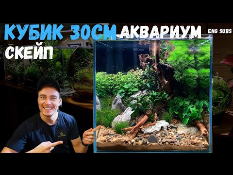 Видео: НОВЫЙ СКЕЙП | АКВАРИУМ КУБИК 30СМ | NEW SCAPE CUBE AQUARIUM 30CM | TUTORIAL