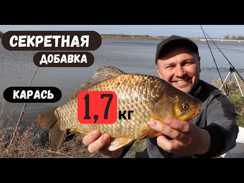 Видео: КАРАСИ КЛЕВАЛИ КАК СУМАШЕДШИЕ. ТРОФЕЙНАЯ РЫБАЛКА НА ВОДОХРАНИЛИЩЕ. СЕКРЕТНАЯ ФИШЕЧКА.