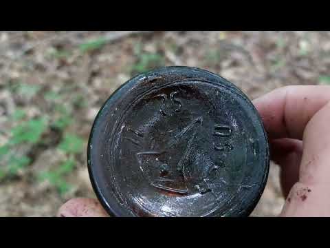 Видео: Поехал в лес в одного и встретил черепаху.