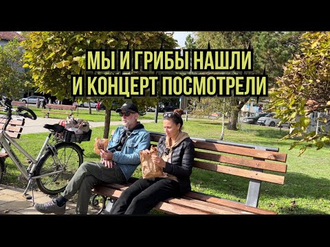 Видео: Грибы мы все-таки нашли. #переездвсербию #синдикилайф #ремонтдома