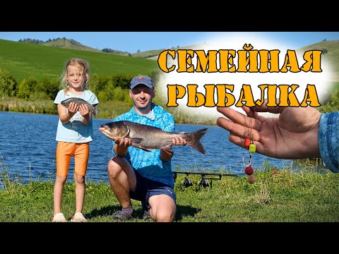 Видео: Рыбалка на карпа и карася Рыбалка с ночёвкой Флэт кормушки #флэтфидер #рыбалка #fishing #алтай #flat