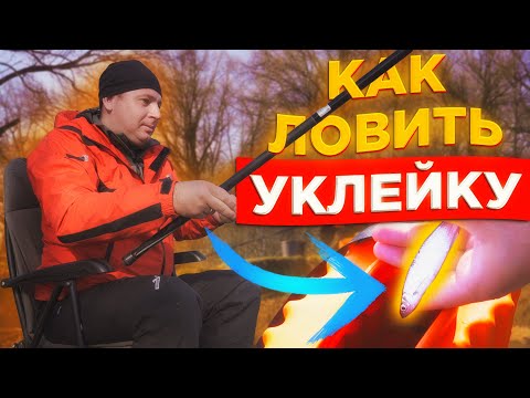 Видео: КАК ЛОВИТЬ УКЛЕЙКУ? ПРАВИЛЬНЫЕ Снасти и Прикормка. Рыбалка 2023