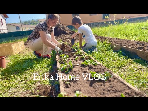 Видео: Активная жизнь, я готовлю сад | Мамина рутина, рецепт | ВЛОГИ | Весна в деревне
