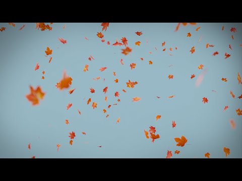 Видео: Учебник Blender — Создание анимации падающих листьев