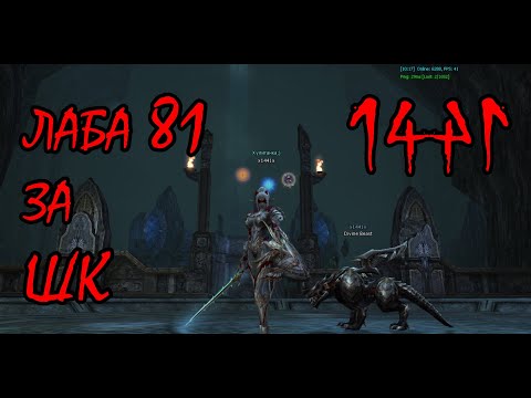 Видео: Лаба 81 на ШК. Labyrinth of the Abyss 81. Asterios x5