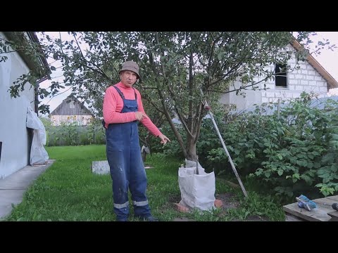 Видео: Как прехитрить крота, реальный совет