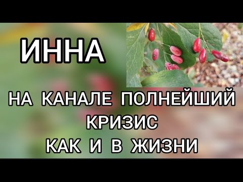 Видео: Поговорим⁉️ Инна Судакова / Inna Sudakova На канале полнейший кризис⁉️ Как и в жизни‼️
