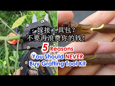 Видео: 5 причин, по которым вам никогда не стоит покупать набор инструментов для прививки | Прививочный ...