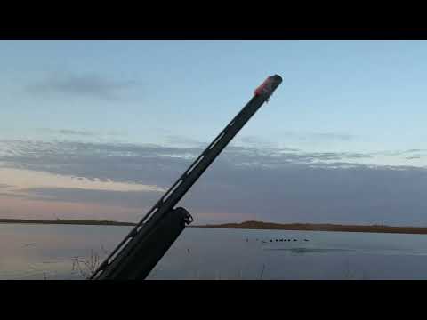 Видео: Весенняя охота на уток и турпана 2023.