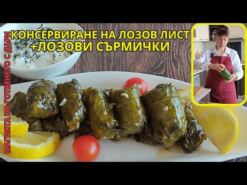 Видео: Консервиране на лозов лист и рецепта за лозови сърмички 👩‍🍳 a recipe for grape vines