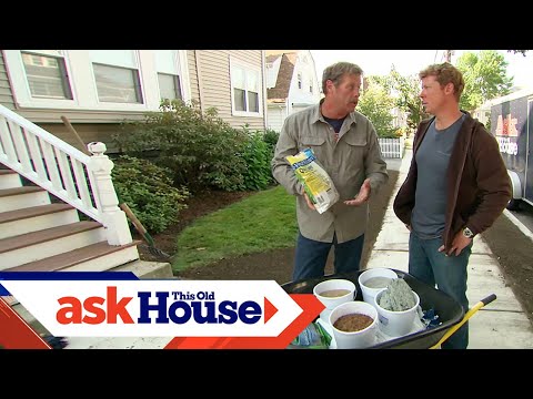 Видео: Как заделать газон семенами травы | Ask This Old House