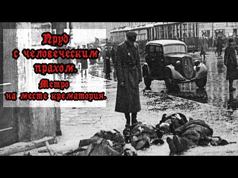 Видео: Человеческий пепел в пруду. Московский парк Победы. (СПб).