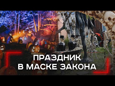 Видео: Хэллоуин под прицелом: как избежать штрафа за неосторожность с символикой праздника?