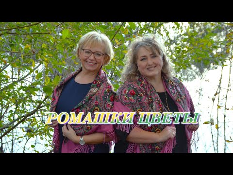 Видео: РОМАШКИ ЦВЕТЫ ( Кавер) Исп. И. Виднер и Л. Фишер