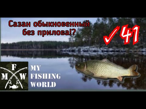 Видео: 41) My Fishing World Сазан обыкновенный без прилова!?