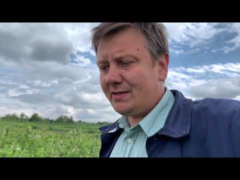 Видео: Залужение или культивация ?