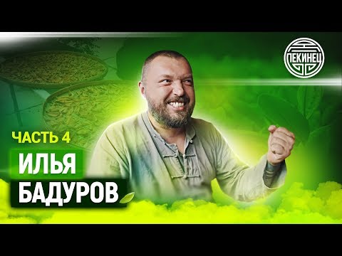 Видео: ИЛЬЯ БАДУРОВ про ценности и цену / равновесие / путешественников / обман и счастье!