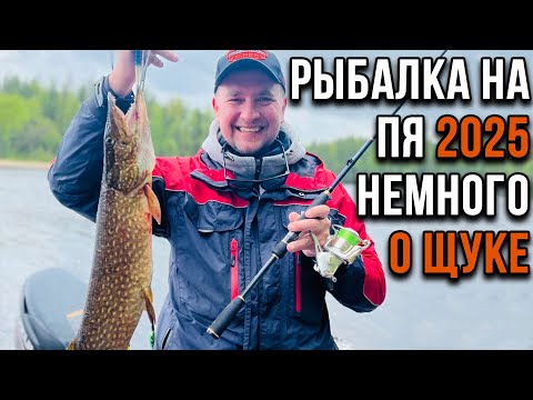 Видео: Рыбалка на Пя 2025, немного о щуке.