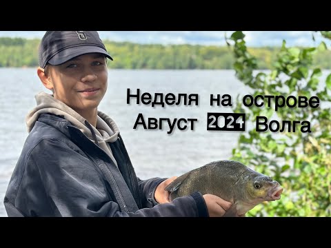 Видео: Неделя на острове в августе 2024 года, река Волга.