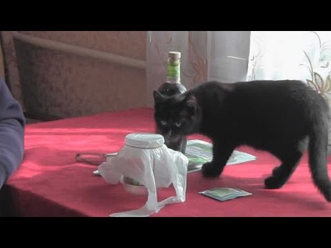 Видео: @Секреты домашнего виноделия из винограда. Часть 3.