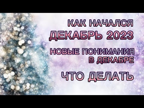 Видео: 🎄 КАК НАЧАЛСЯ ДЕКАБРЬ 2023