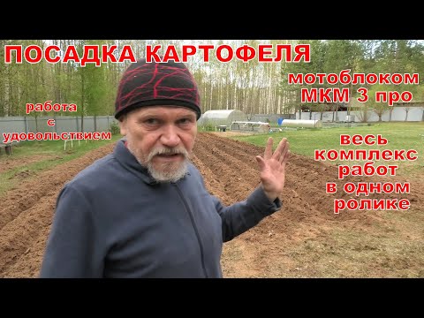 Видео: Посадка картофеля мотоблоком МКМ 3 про. Весь комплекс работ в одном ролике. Работа с удовольствием!