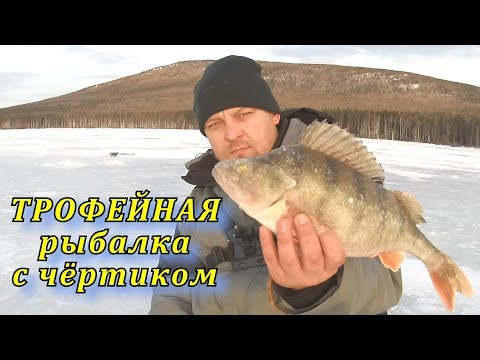 Видео: ОКУНЬ 1 КИЛОГРАММ, ЛЕЩ 2 КИЛОГРАММА !!!! Трофейная рыбалка с чёртиком !!!