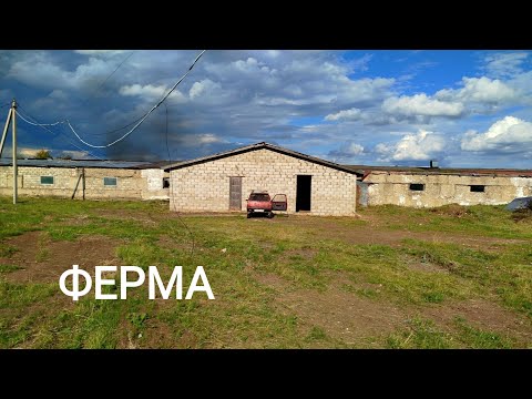 Видео: НОВЫЙ ПРОЕКТ ФЕРМА/ ОТКУДА ВЗЯТЬ ФИНАНСЫ НА ЭТО ВСЕ?!! РАЗБИРАЕМ ЗАВАЛЫ/ КОСИМ БУРЬЯН/