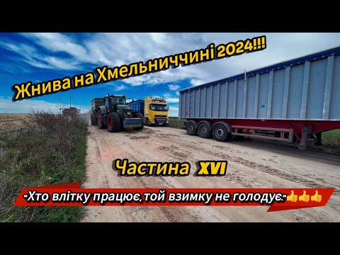 Видео: "Рекордний Врожай Кукурудзи на Хмельниччині: Дощі Не Перешкода для Комбайнів МХП 'Рідний-Край'"