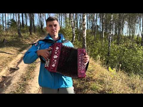 Видео: «Вещая судьба» - А.Розенбаума на гармони🪗