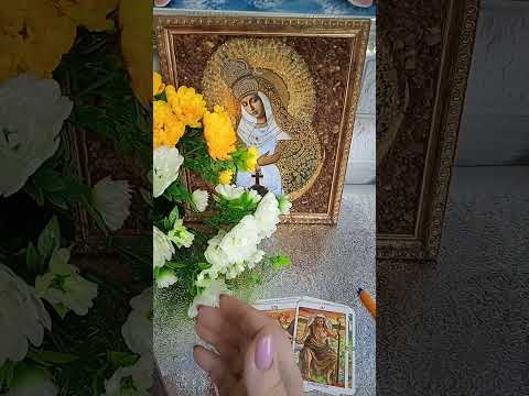 Видео: ВОТ ЭТО ПОВОРОТ 😱ВЫ И ВАШИ ВРАГИ ⚡+79109877209⚡смс⚡