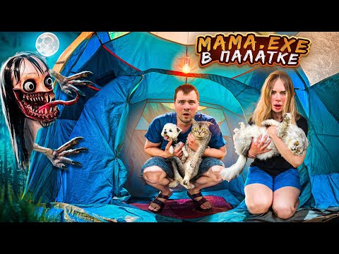 Видео: MAMA.EXE В НАШЕЙ ТРЁХКОМНАТНОЙ ПАЛАТКЕ С КОТАМИ И СОБАКОЙ | НАШЛИ ДОМ ВЕДЬМЫ