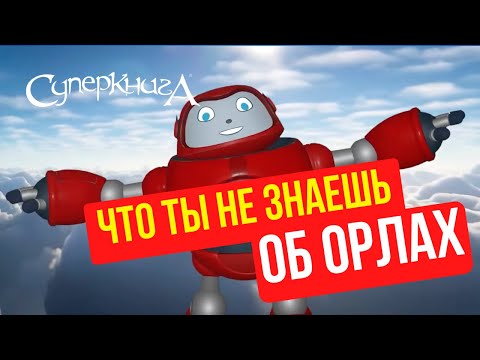 Видео: Библейские файлы с Робиком | Что ты не знаешь об орлах?