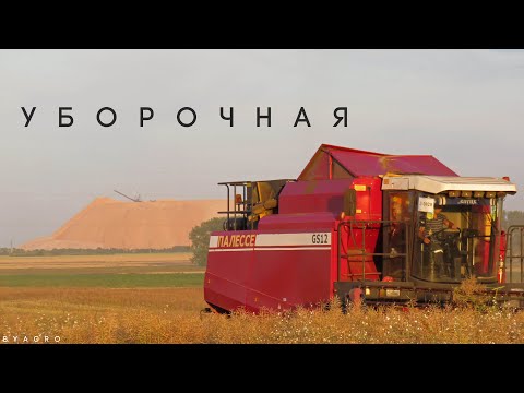 Видео: Уборка рапса / 3X ПАЛЕССЕ GS12, МАЗ 5551, 5516 /