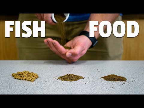 Видео: Что вам ДЕЙСТВИТЕЛЬНО нужно знать о кормах для рыб в аквапонике