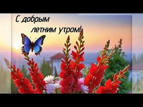 Видео: Пусть всё хорошее начинается с утра😊💖 С Добрым утром🌿🌸🌿