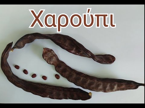 Видео: ГРЕЧЕСКИЙ С МАРИЕЙ КЕФАЛИДУ! Χαρούπι