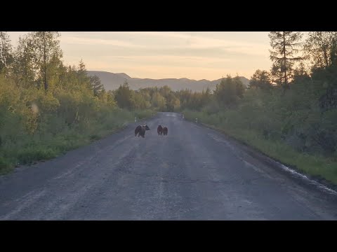 Видео: Снова "медвежий рейс"... Едем в Магадан.