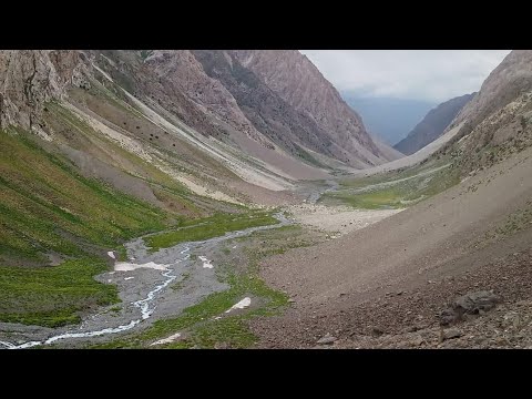 Видео: Холиқул Аюбов    нишастам душ ман бо булбулу парвона дар як чо