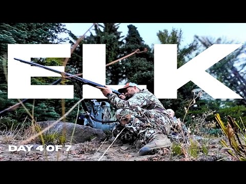 Видео: Безумный день в Лосином лесу!!! Штат Вашингтон 2025