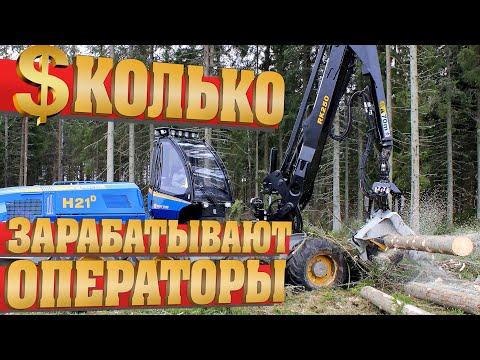 Видео: СКОЛЬКО зарабатывают операторы харвестера и форвардера?