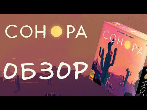 Видео: Сонора: обзор настольной игры. Нащёлкай победу!