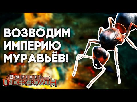 Видео: Отражаем нападения жуков в Empires of the Undergrowth! Две семьи Formica rufa в миссии «нянька»