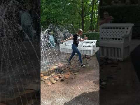 Видео: Фонтан-шутиха. Петергоф. Питер.